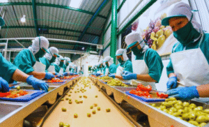 Food Production Jobs in Canada with visa sponsorship 2025