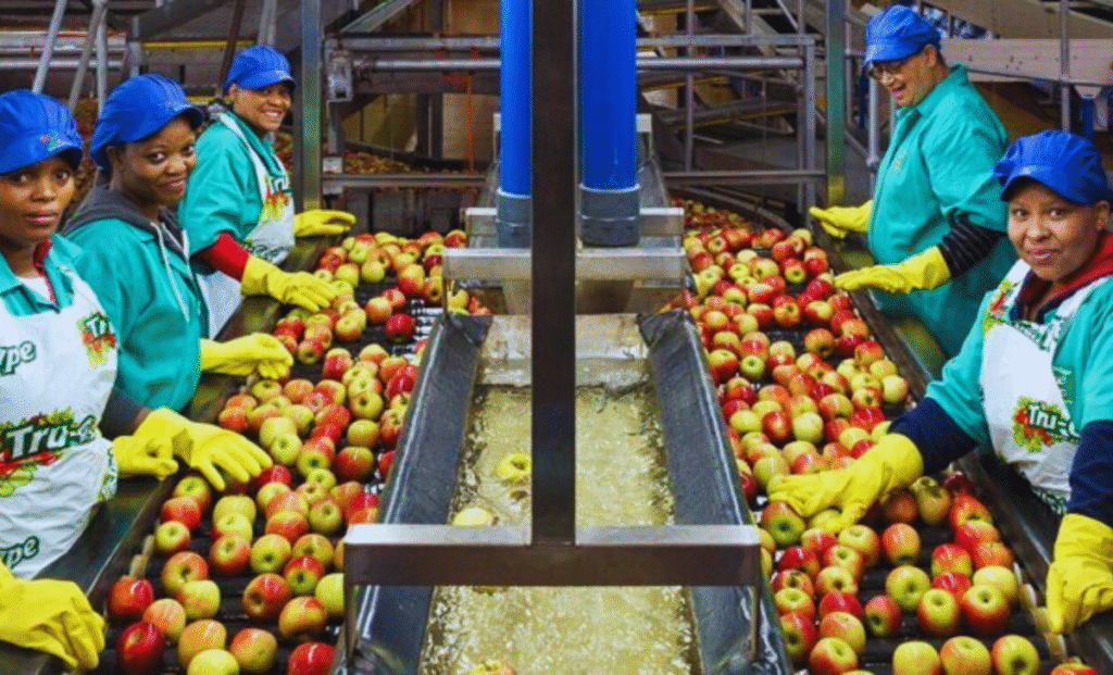 Seed Packager Jobs in Canada with visa sponsorship 2025