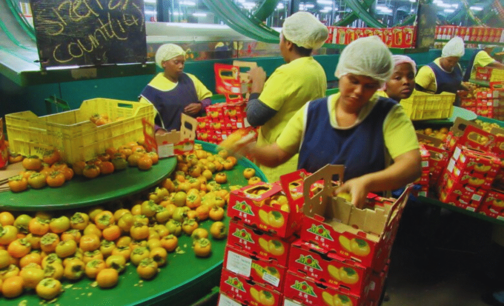 Seed Packager Jobs in Canada with visa sponsorship 2025