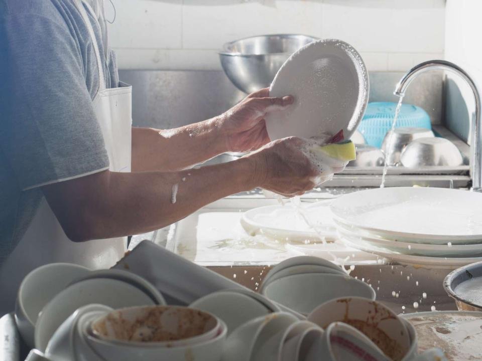 Dishwasher Jobs In The Netherlands With Visa Sponsorship 2025