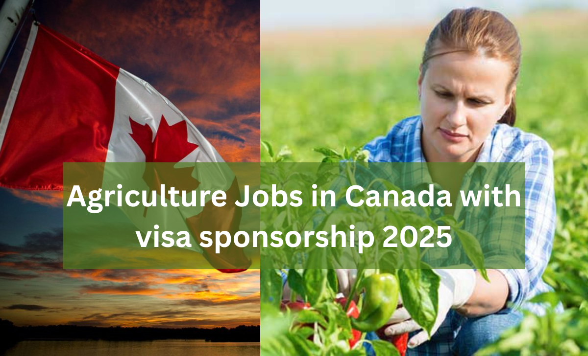 Agriculture Jobs in Canada with visa sponsorship 2025