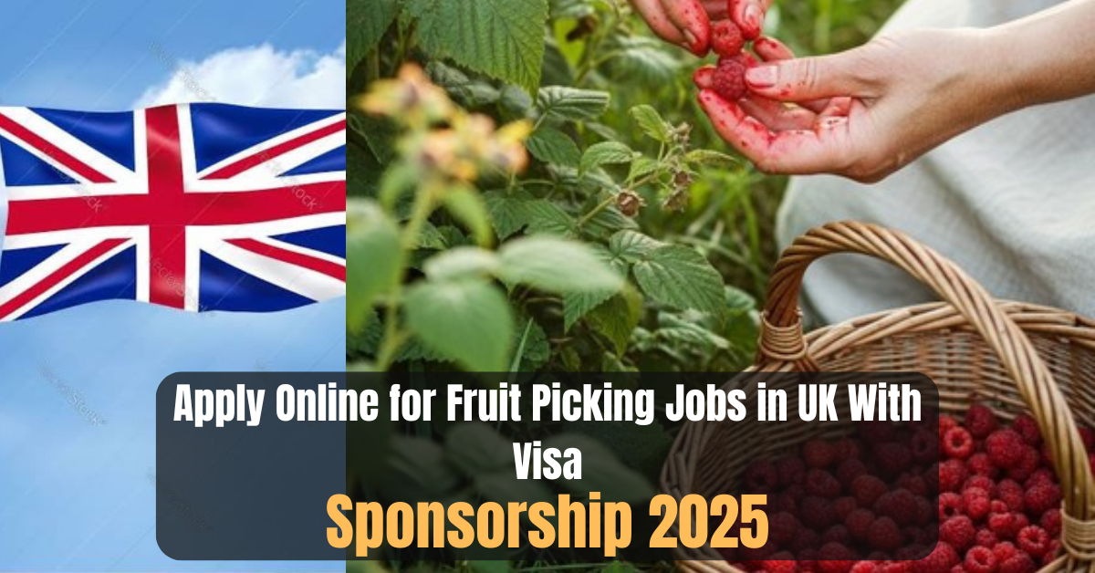 Apply Online for Fruit Picking Jobs in UK With Visa Sponsorship 2025