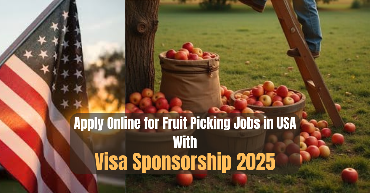 Apply Online for Fruit Picking Jobs in USA With Visa Sponsorship 2025