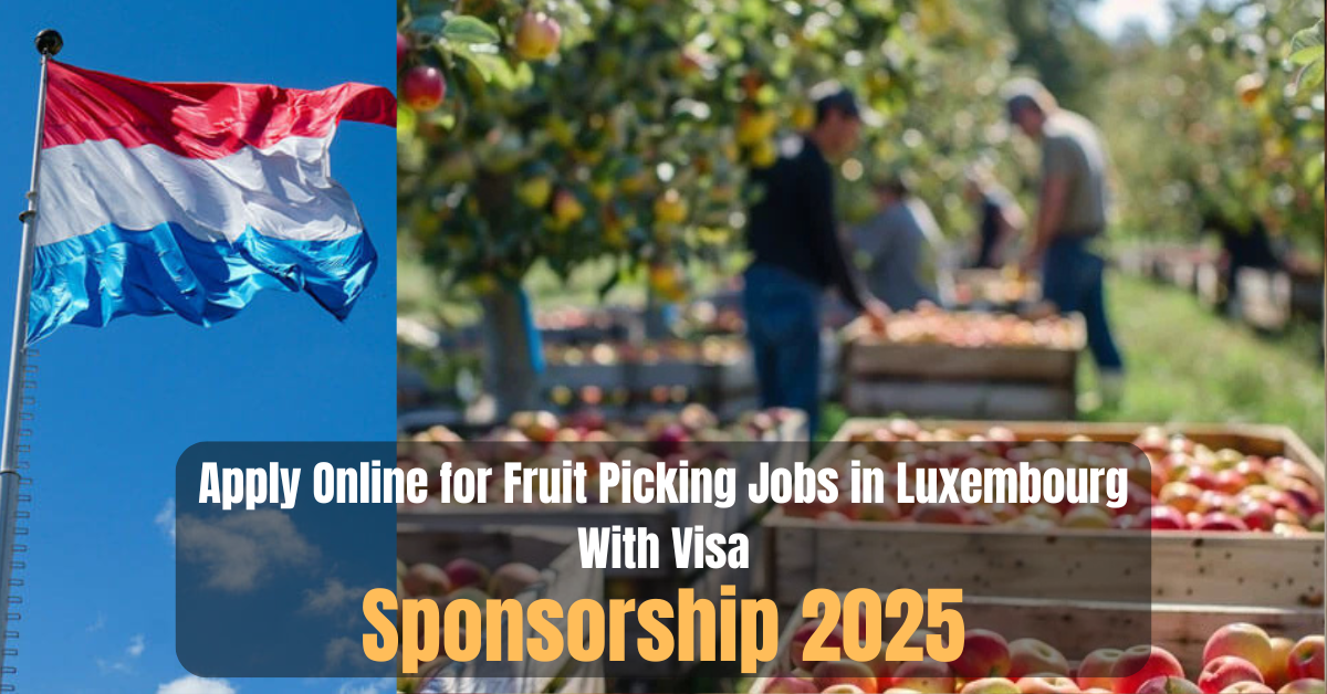 Apply Online for Fruit Picking Jobs in Luxembourg With Visa Sponsorship 2025