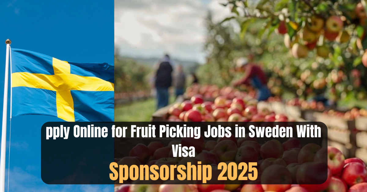 Apply Online for Fruit Picking Jobs in Sweden With Visa Sponsorship 2025