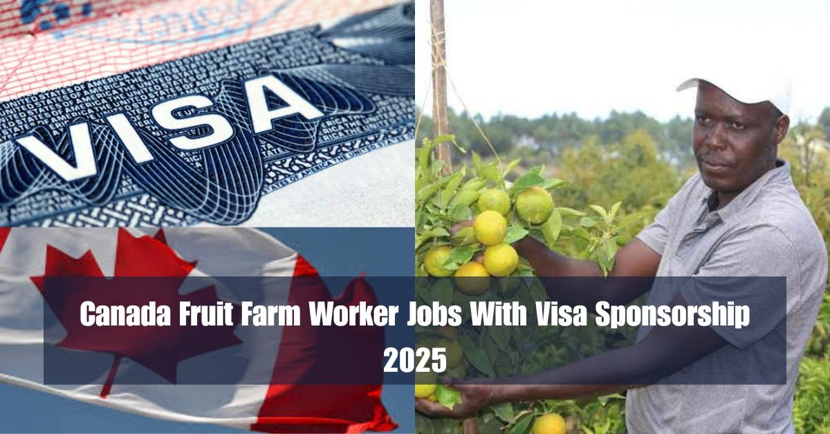 Canada Fruit Farm Worker Jobs With Visa Sponsorship 2025