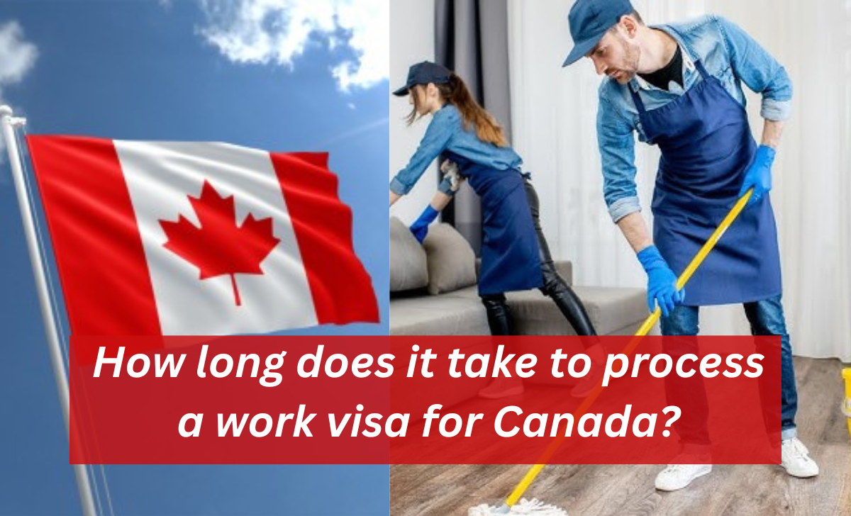Cleaner Jobs in Canada with Visa Sponsorship 2025