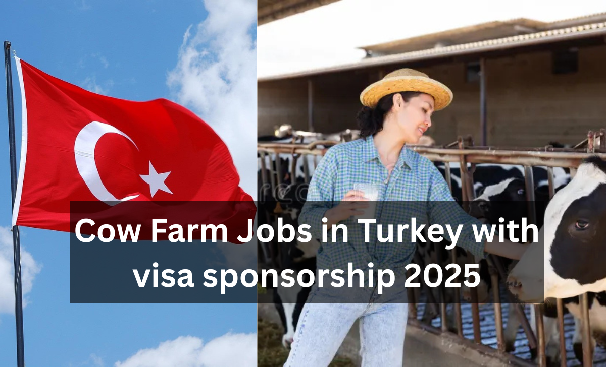 Cow Farm Jobs in Turkey with visa sponsorship 2025