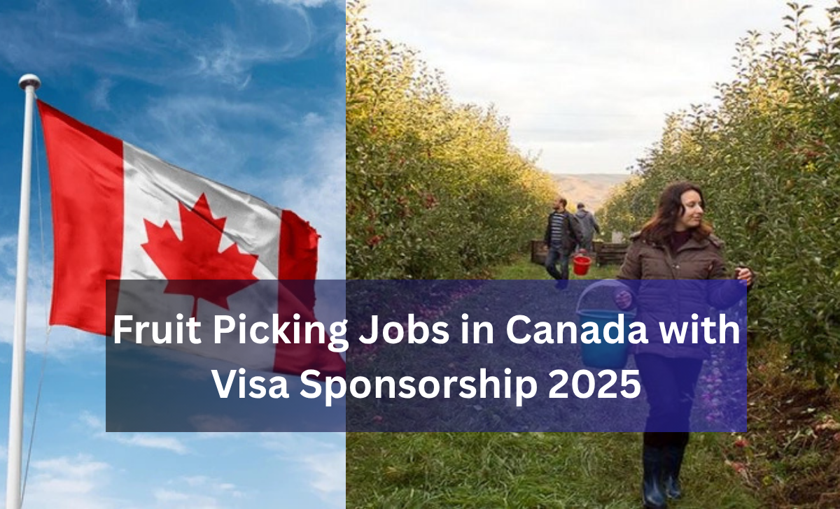 Fruit Picking Jobs in Canada with Visa Sponsorship 2025