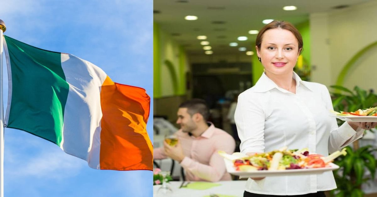Most Popular Jobs for Foreigners in Ireland