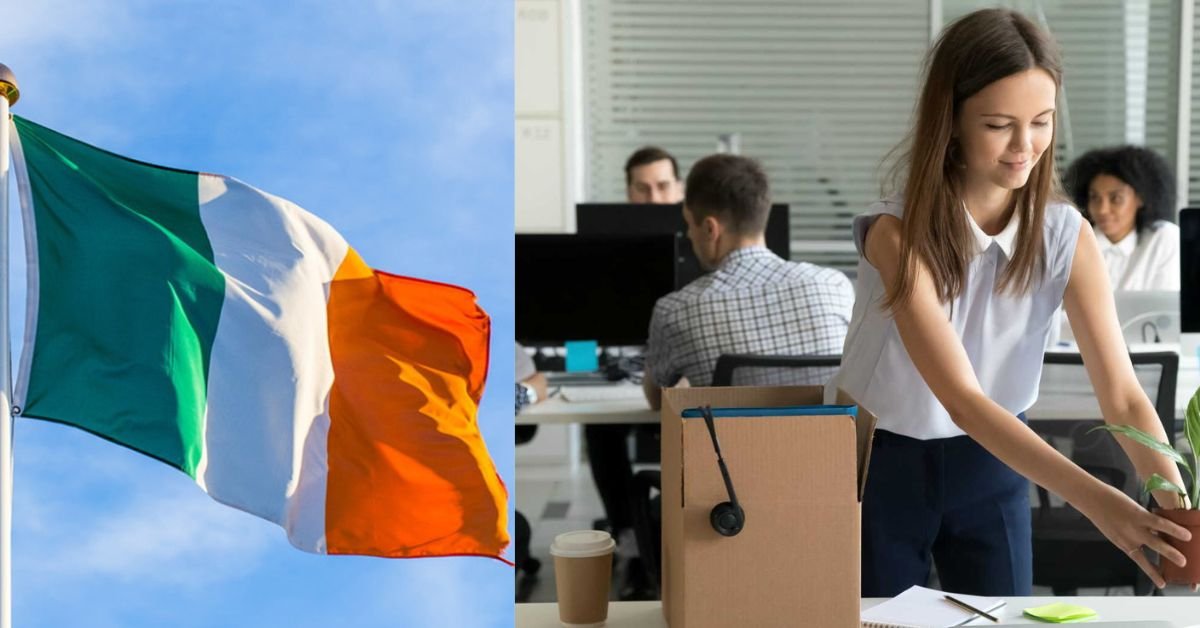 How to Apply for Entry-Level Jobs in Ireland (2025)